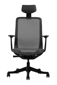 Merryfair AIRE Ergonomic Office Chair for Back Pain | Minimalist Lightweight Mesh Design | Adjustable Lumbar Support & Height | Compact Ergonomic Chair Malaysia