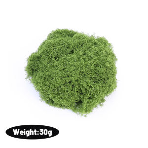 50/100g Fake Moss Mini Landscape Artificial Fresh Green Moss Coco Coir Garden Terrariums DIY Project Arts Decoration for Potted Plants