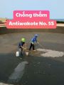 Antiwakote No.5S : Chống thám gốc xi măng 2 thành phần đàn hồi cao. 