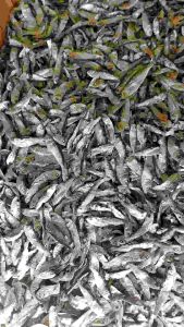 ปลาหลังเขียวเล็กแห้ง แคลเซียมสูง มีโปรตีน ขนาดเล็ก ไม่เค็ม สะอาด น้ำหนัก 1 กิโลกรัม ราคา 110 บาท