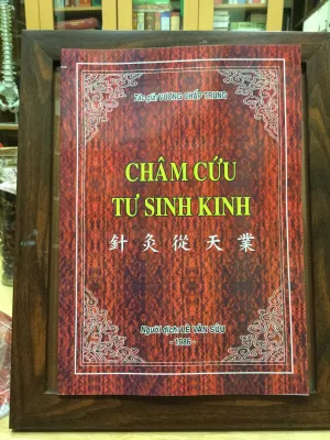 Sách Châm Cứu Tư Sinh Kinh – Vương Chấp Trung