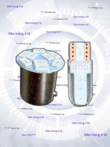 Bộ bóng lắp cho đèn nóc xe ô tô chân đui hoặc chân cắm 12v 24v