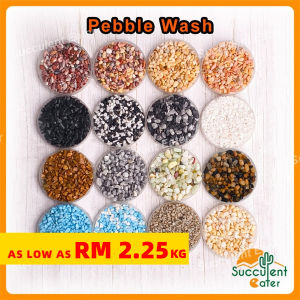 (1kg-20kg) Pebble Wash Stone Floor Epoxy Pebble Stone Gardening Landscape Decoration Batu Kacang Hiasan 洗米石 天然卵石 园艺石 造景石