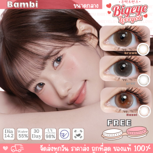 คอนแทคเลนส์ Bambi Brown / Gray / Hazel (Kitty Kawaii) ขนาดกลาง 💖