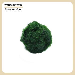 [COD] 3-4cm marimo rêu quả Bóng Sống Aquarium thực vật tảo cá tôm bể trang trí mô phỏng màu xanh lá cây tảo quả bóng cây nhân tạo