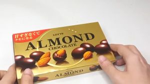 Lotte Chocolate Snack Almond Macadamia Pop Joy Caramel Japan Imported Sweet Treat