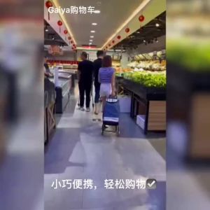 Shopping Cart Climb Stairs Grocery Foldable Trolley 8 Wheels Grocery Carts Small Cart Folding Trolley Cart