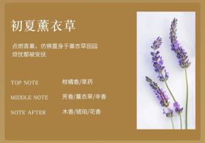 * SG-Stock * Coconut scented Soy wax Candle