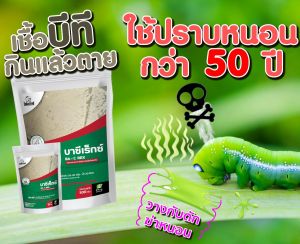 ปราบหนอน ปลอดภัยไร้สารเคมี 100% เป็นมิตรกับคน และ สัตว์เลี้ยง เชื้อราBT ขายส่งราคาโรงงาน pบาซีเร็กซ์q 500กรัม