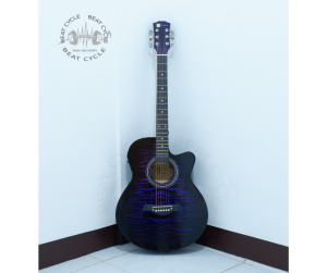 Eunoia 40 inches Acoustic Guitar with Trusssrod and 4 Way Band Equalizer Plus Freebies