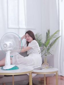 Electric Fan Desktop Household 12 Inch 16 Inch Desk Fan Student Bedside Stand Desk Type Electric Fan Floor Mute Dormitory Bed