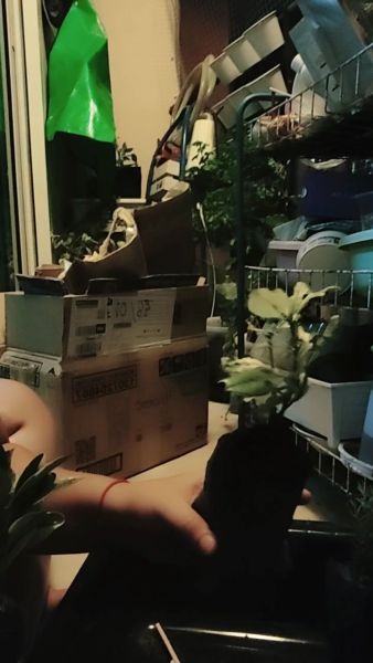 Buyer review video 2