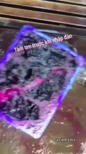 Thuốc Tím Sát Khuẩn Hồ Cá - Trị Nấm Diệt Tảo Xanh Khử Trùng Nước Cực Nhanh 50GR