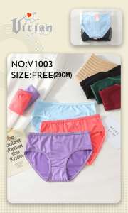 BURSON 12Pieces Womens Floral Garter Panty MidWaist Panties Underwear Free Size 26-30Waistline