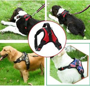 สายรัดอกสุนัข สายรัดอกหมา สายรัดอกสัตว์เลี้ยง สายรัดอก มีSafety lock (ไซส์ XS-XL) V2 ส่งฟรี ใช้ร่วมกับคูปอง
