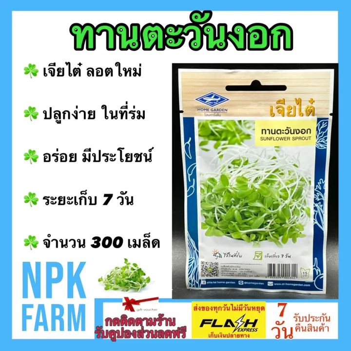 เจียไต๋ เมล็ดทานตะวันอ่อน 300 เมล็ด ลอตใหม่