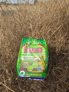 ฮิวจ์เคน 60 ไดยูรอน+เฮกซะซีโนน ไดยูรอน → คุมวัชพืชใบกว้างและใบแคบได้ดี เฮกซะซีโนน → ครอบคลุมวัชพืชที่ทนต่อไดยูรอน เช่น หญ้าหนวดแมว หญ้าขนบางชนิด เหมาะกับพื้นที่ที่มีฝนตกบ่อย หรือพื้นที่ที่หญ้าขึ้นง่าย ลดโอกาสหญ้าดื้อยา และคุมวัชพืชได้ครอบคลุมกว่า