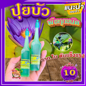ปุ๋ยบัว (แพ็ค 10 ขวด) 🌼 ปุ๋ยน้ำไฮโดรโปนิกส์ 38 ml. บำรุงทุกส่วน ราก ใบ ต้นแข็งแรง ปุ๋ยบัวเร่งโต ปุ๋ยไม้น้ำทุกชนิด💥 Lungboy Farm