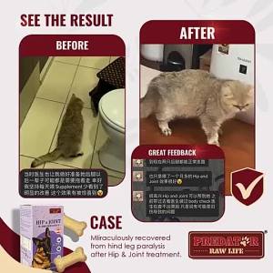 Predator Raw Life Hip & Joint  Supplement Boost Joint Pain Glucosamine Chondroitin Arthritis (30 Capsules)