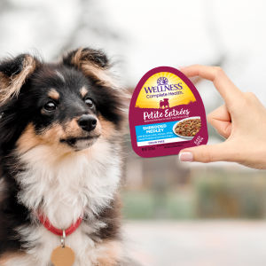 Wellness Complete Health Petite Entrées - Small Breed Grain Free Dog Wet Food 3oz (85g) | 10 Tasty Flavours