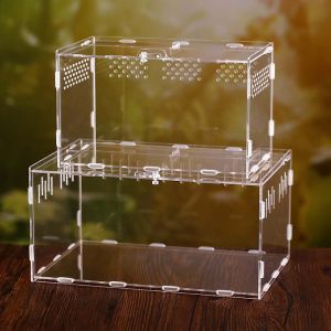 CIRCUIT Transparent Spider Hatcher Insect Lizard Feeding Box Container Reptile Incubator Breeding Box Insect Supplies Hatching Terrariums