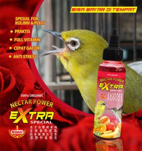 NECTAR FRUITY SPESIAL PLECI LOMBA DAN HARIAN 100ML