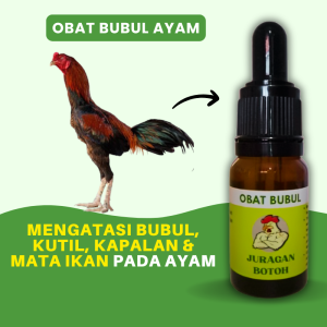 Obat Bubul Ayam Juragan Botoh Paling Ampuh Obati Kaki Ayam Bubul Kutil Kapalan