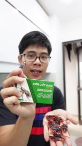 Thuốc diệt gián sinh học AMB diệt tận gốc tất cả các loại gián an toàn hiệu quả hộp 8 viên