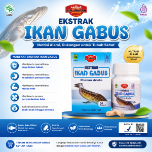 Kapsul ekstrak ikan gabus kutuk albumin ath-thoifah 30 Kapsul Izin BPOM Asli Murah