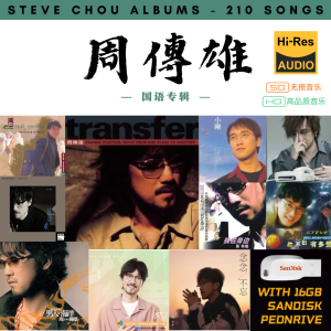[210首] USB Pendrive Song 音乐USB 周传雄国语专辑 mp3 超高音质 16gb 流畅播放 Steve Chou Songs 车载音乐