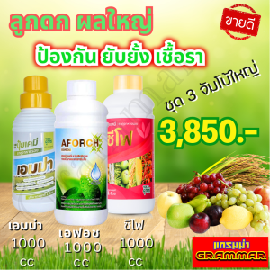 🔥🔥 ส่งฟรี 🔥🔥 เอมม่า ปุ๋ยน้ำเอมม่า ( 1000 ซีซี ) ป้องกันเชื้อรา + ซีโฟ ปุ๋ยน้ำซีโฟ ( 1000 ซีซี ) + เอฟอช Aforch ( 1000 ซีซี ) สารจับใบ ของแท้ 100%