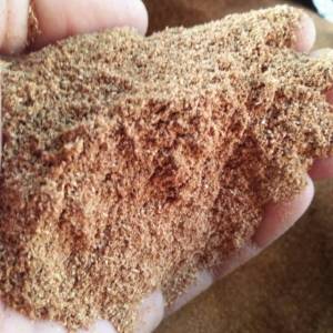 TERMURAH BUBUK BIJI DAN CANGKANG MAHONI MURNI 500 GRAM