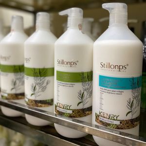 Bộ Gội Xả Dưỡng Sinh Stillonps 1000ML Phục hồi hư tổn chống gàu kích thích mọc tóc chống rụng tóc