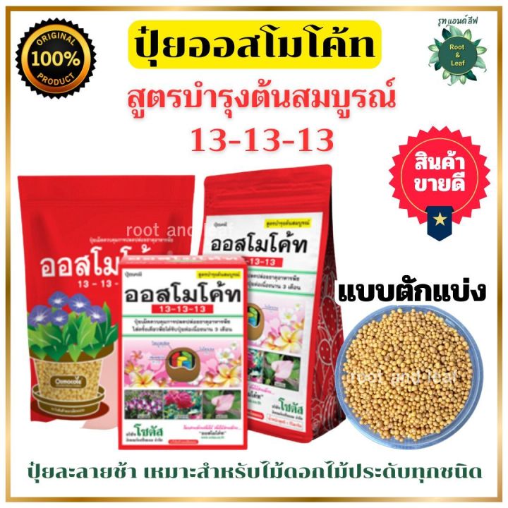 ออสโมโค้ท สูตร 13-13-13 ปุ๋ยละลายช้า บำรุงต้นสมบูรณ์ 3 เดือน