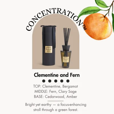🪔 Euvella Premium Reed Diffuser Bundle (2 × 250ml) – Long-Lasting Home Fragrance | Gift Set | Hotel-Like Scent | Singapore Brand