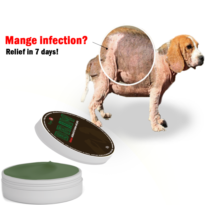 Shampoo for outlet dog mange treatment