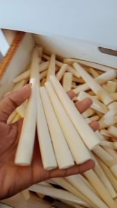 Once pipa tulang kaki sapi