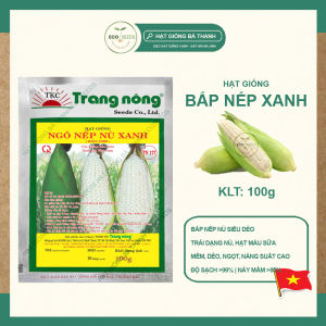 [EcoSeeds] Hạt Giống Ngô Nếp Nù Xanh (Bắp Nếp) - Cao Sản Sinh Trưởng Mạnh - Gói 100g