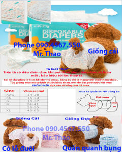 10 cái Tã quần cho chó mèo băng vệ sinh chó cáichó đực mèo cái mèo đực