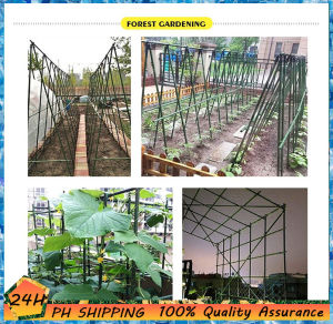 3PCS 60-180cm Thickness 8-16mm Horticultural Plant Support Bracket - Ideal for Plant Growth and Stability