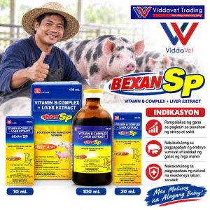 Univet 100ML FOR ANIMALS Bexan sp 100 ml Unahco product Bexan sp 100 mlbexan xp 100ml original bexan xp 10ml