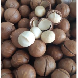 Hạt macca (nứt vỏ thơm ngon- có video) {Khối lượng tịnh không tính bao bì}