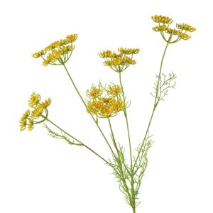 FGJEB Beautiful Artificial Lace Flower Branch 5 Head Elegant Silk Fake Flowers Photography Props Plastic Simulated Green Plants Home Office Decor