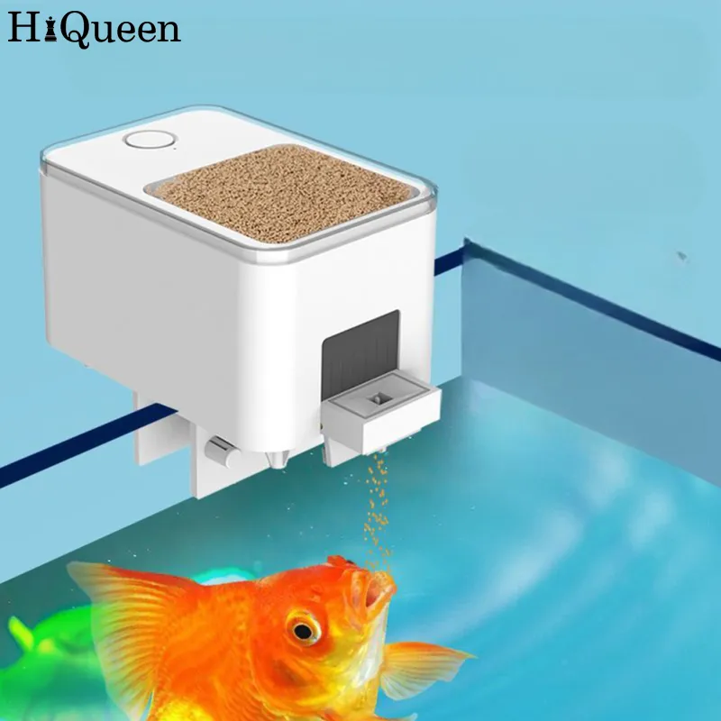 Automatic tropical fish store feeder