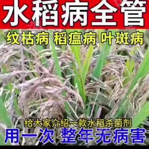 💗🙋‍♀️💗水稻杀菌剂病全治稻瘟稻曲病纹枯病恶苗病白叶枯病水稻专用