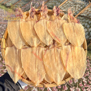 ปลาหมึกแห้ง หนังแก้ว หมึกหนังไดร์ คละไซส์ 2-4 นิ้ว (เจ๊เปลวหมึกแซ่บ)