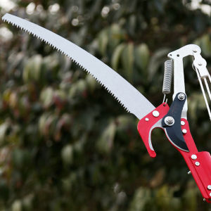 Đầu kéo tỉa cành cắt cành cây trên caohái quả kết hợp cưa cành lưỡi thép SK5