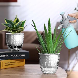 Self Watering Pots for Indoor Plants Double Layer Large Capacity Plastic Hydroponic Succulent Plant Pot Decorative Pot