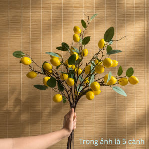 Set Cành Chanh Giả 35 quả Cao 85cmTrang Trí Decor Không Gian Cành Quả Chanh Vàng Chanh Tươi Mát Decor Phòng Khách Nhà Ha