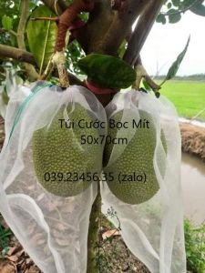 [ GIÁ RẺ ] SL20 CÁI TÚI BAOBỌC MÍT LƯỚI CƯỚC THÁI LOẠI TỐT 50*70 cm